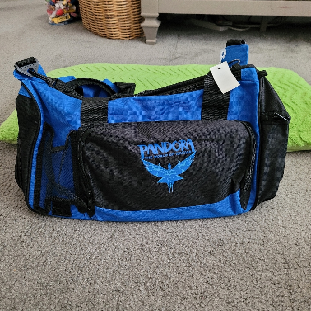Disney Parks Pandora duffle bag